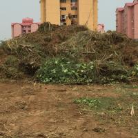 Photo 2021 03 03 20 47 22 41