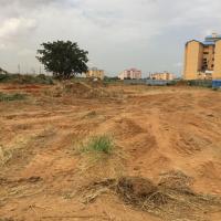 Photo 2021 03 03 20 47 22 51