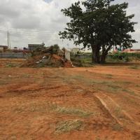 Photo 2021 03 03 20 47 22 61