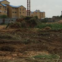 Photo 2021 03 03 20 47 221