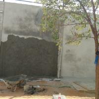 Photo 2021 02 11 19 34 28 15