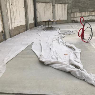 Photo 2021 03 03 19 19 16 2