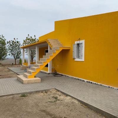 Photo 2021 03 03 23 25 38 13