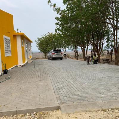 Photo 2021 03 03 23 25 38 9